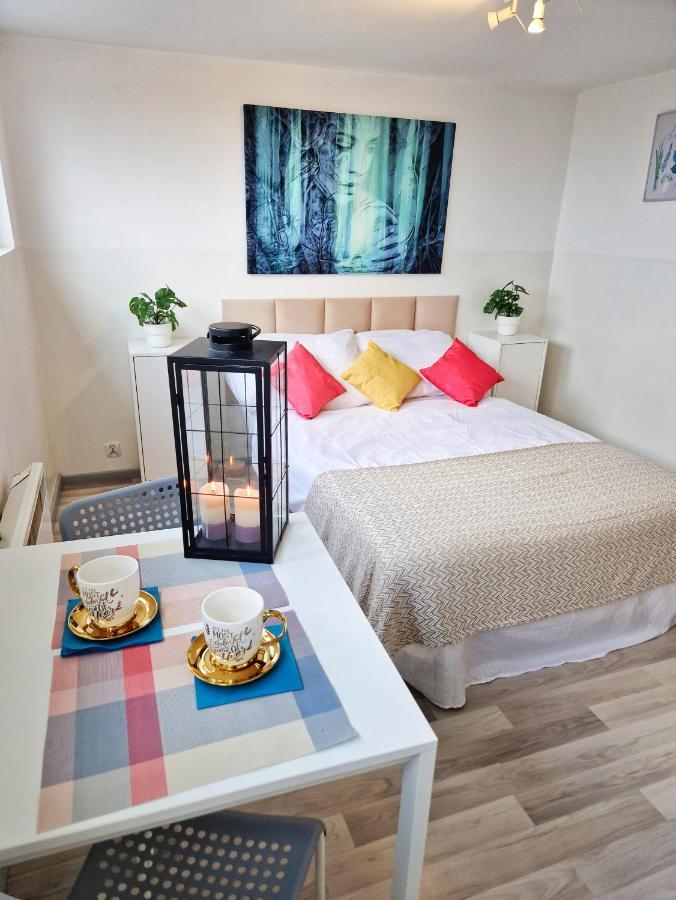 Central Studio Apartments Varsavia Esterno foto